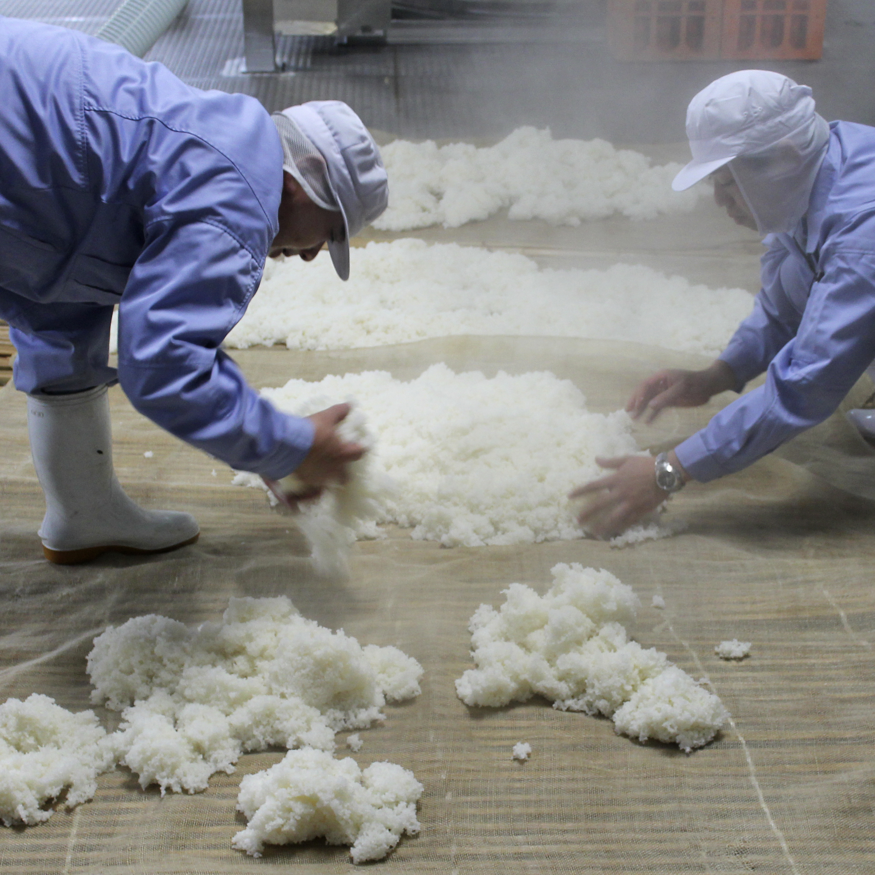 六歌仙 五段仕込み純米 | Sakenomy - 日本酒を知り、日本を知る