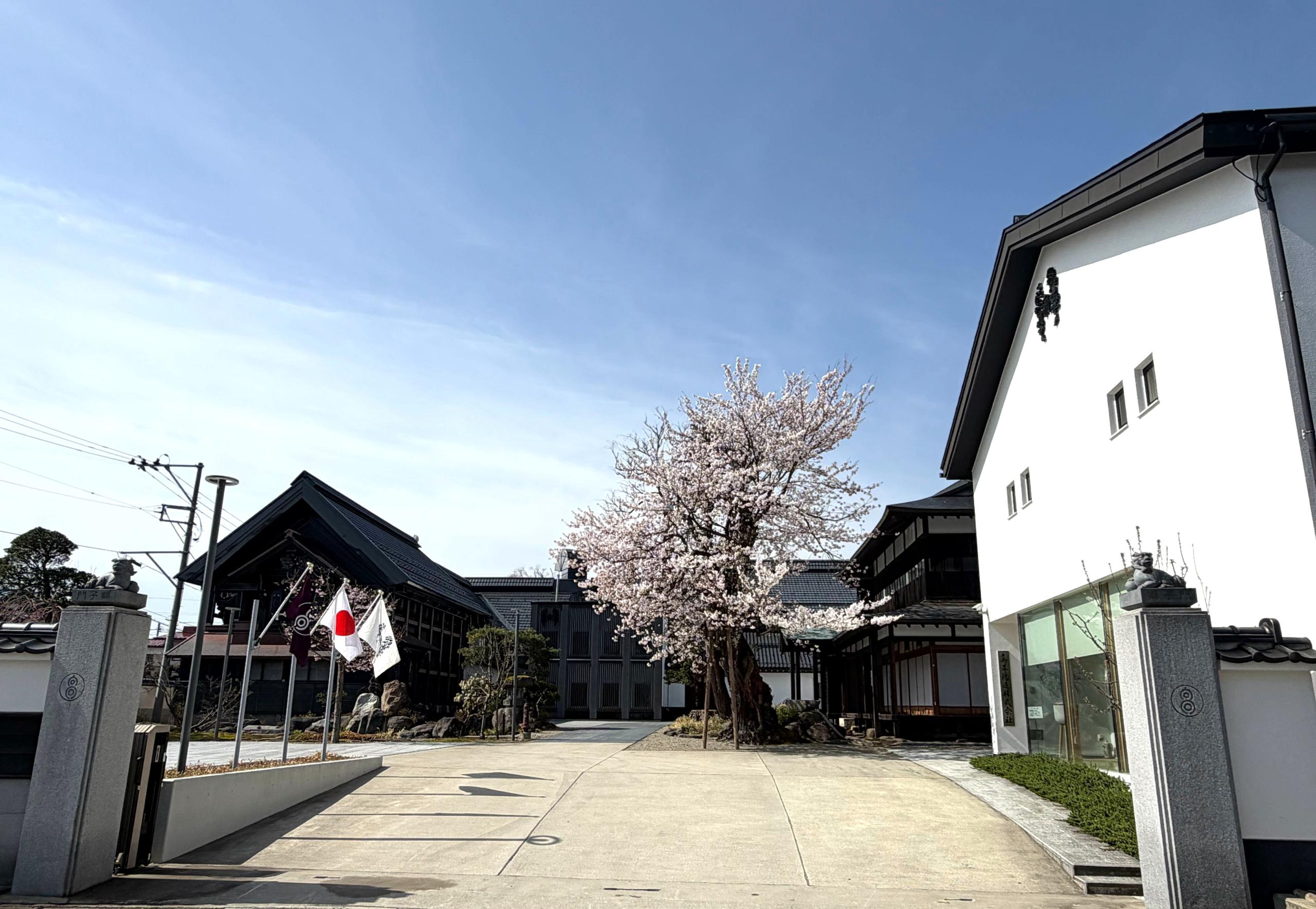 十四代 双虹 | Sakenomy - 日本酒を知り、日本を知る