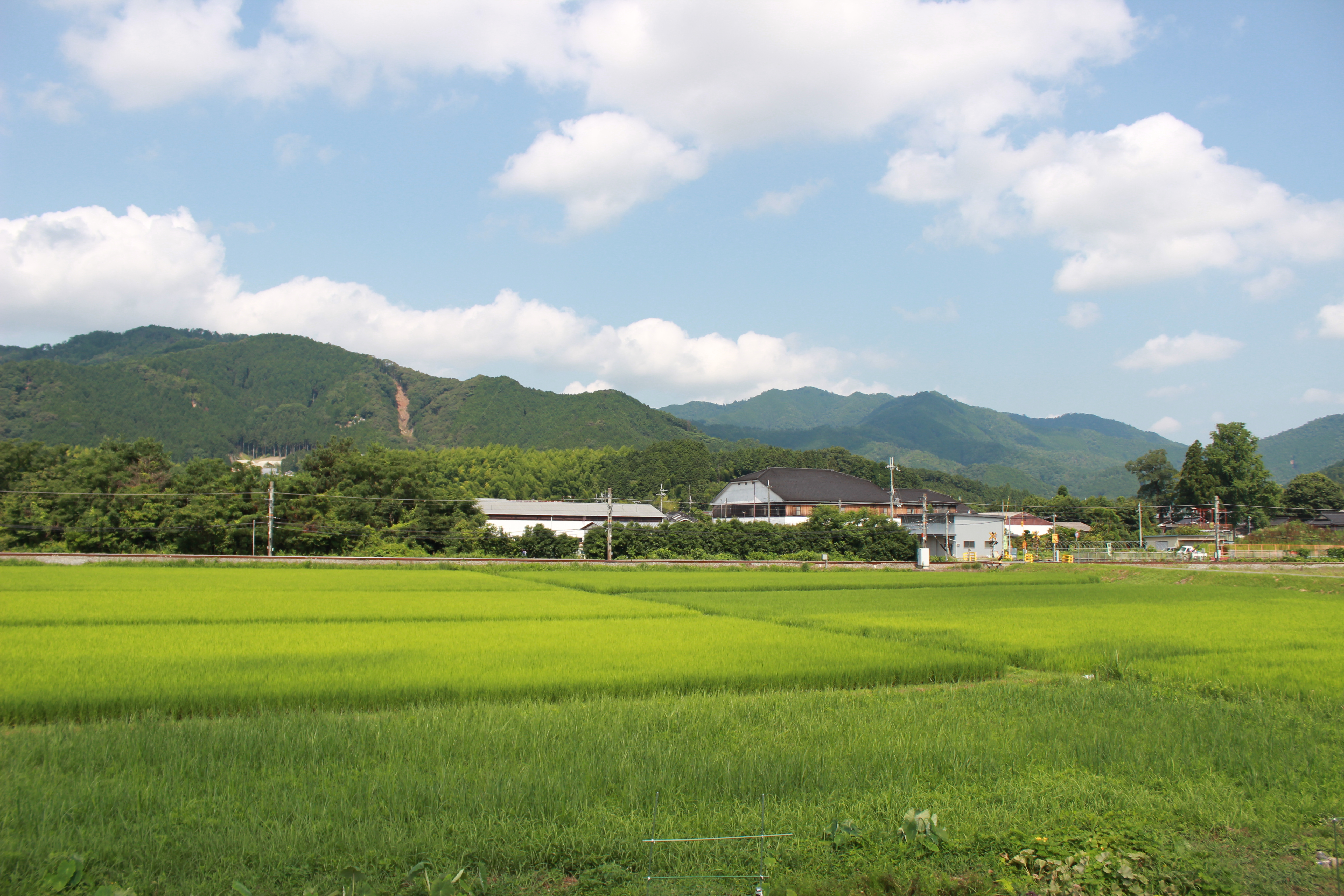 小鼓 純米吟醸 花吹雪 | Sakenomy - 日本酒を知り、日本を知る