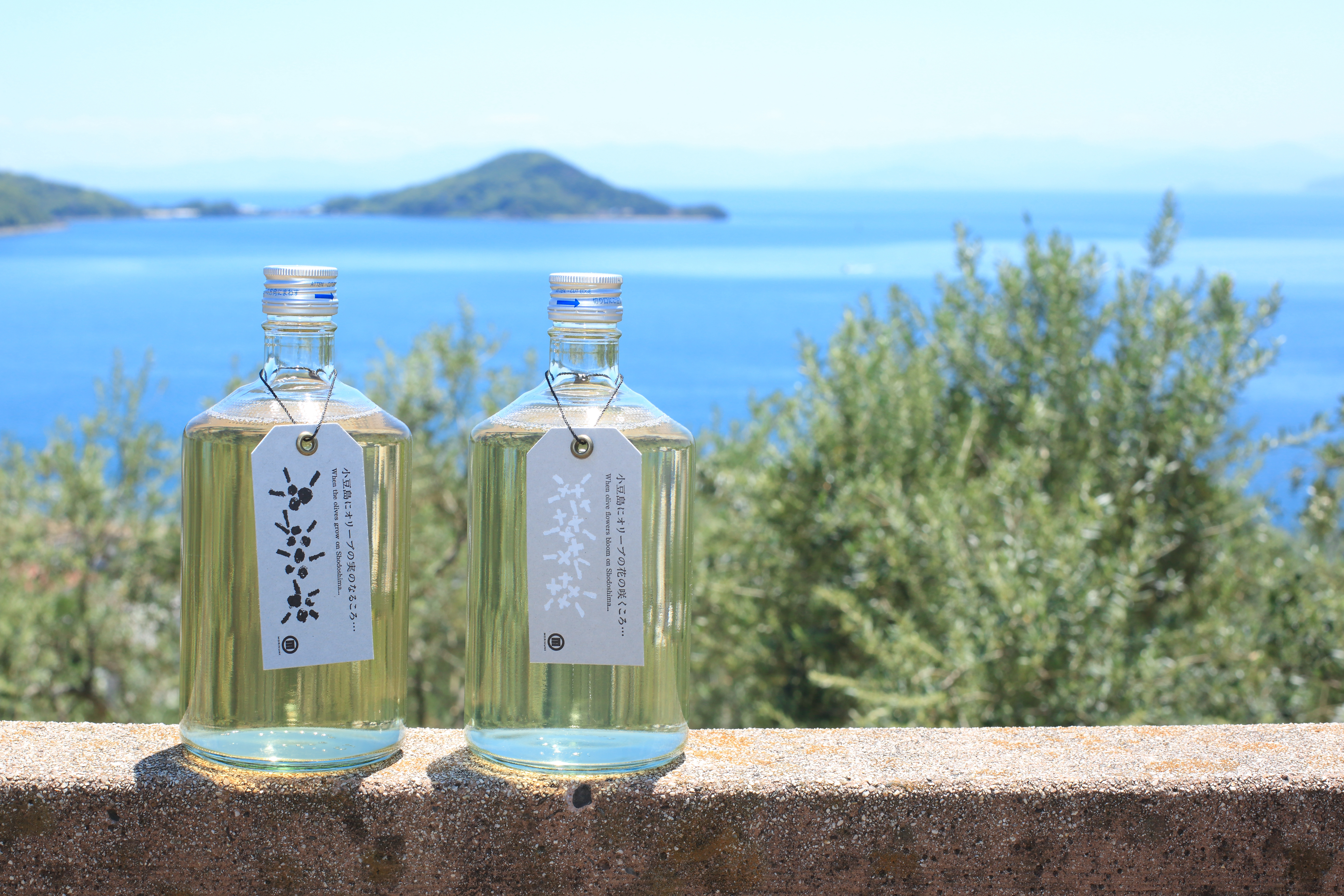 小豆島の輝山廃吟醸 | Sakenomy - 日本酒を知り、日本を知る