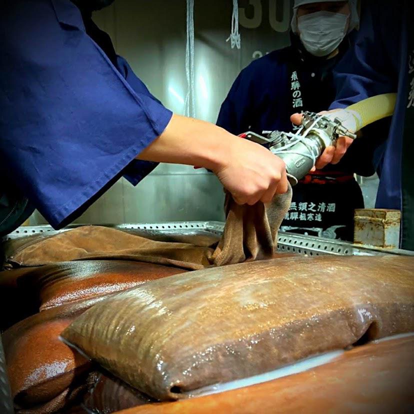 W 先祖返り ひだみのり 純米無濾過生原酒 | Sakenomy - 日本酒を知り