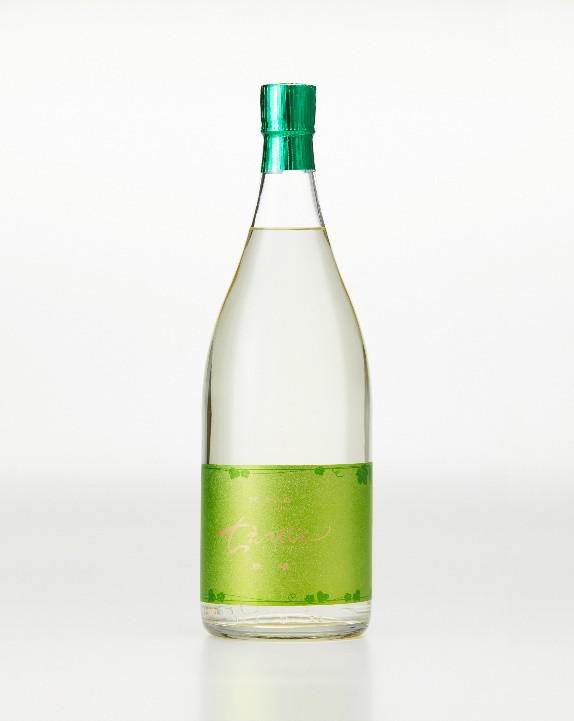 ちえびじん Evergreen