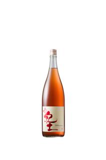 日本酒写真